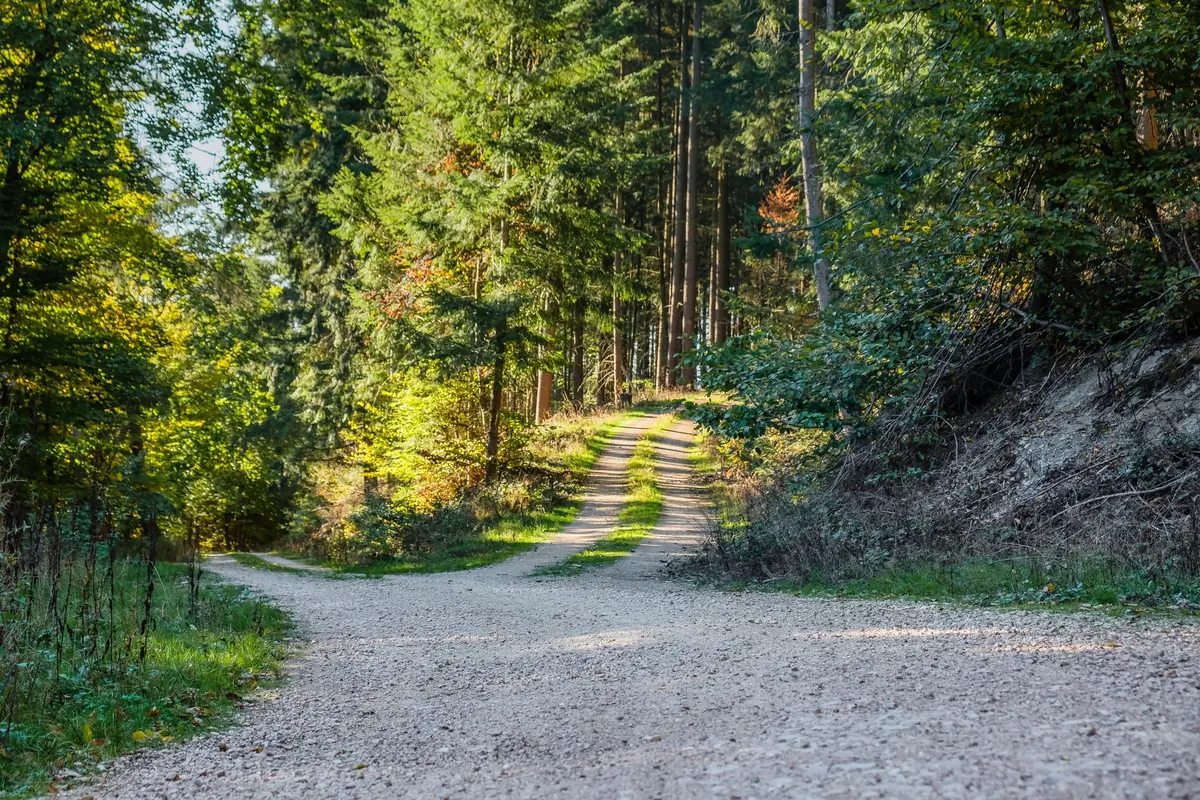 Optimizing vs. Overthinking: How to Tell the Difference in Daily Decisions