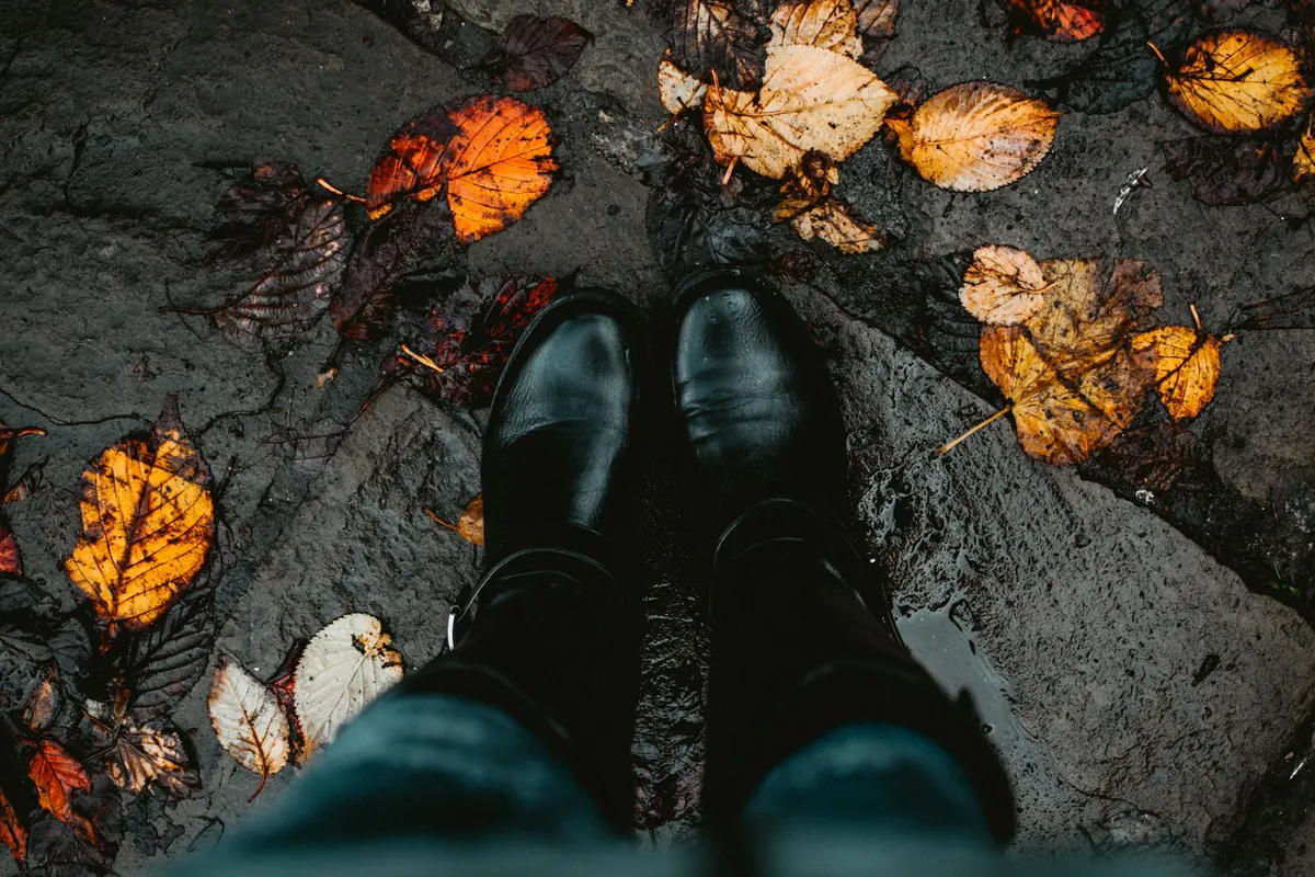 The Autumn Reset: 8 Seasonal Habits to Try Before Winter